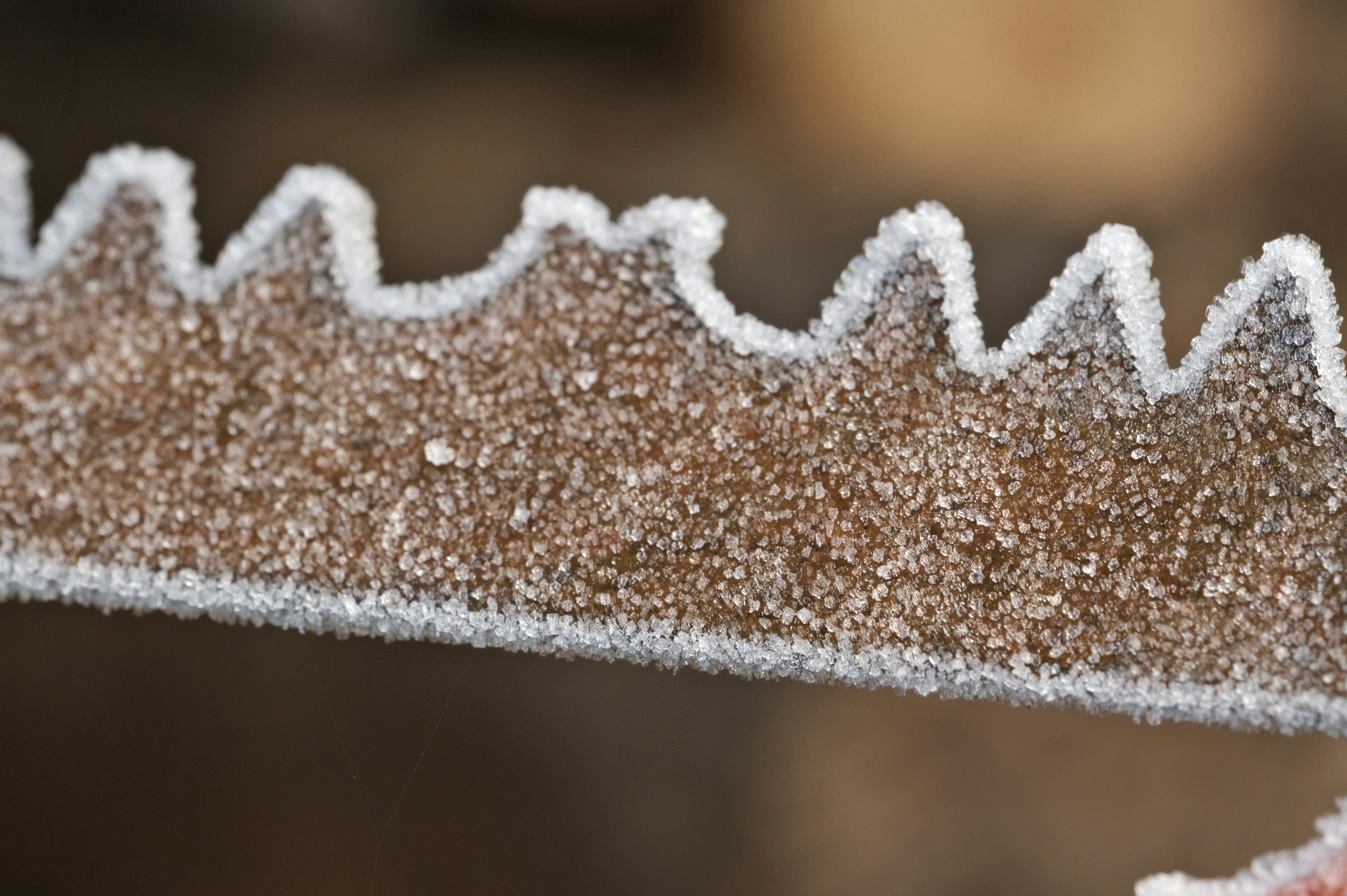 white snow on brown wooden surface